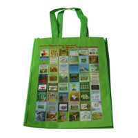 河北LB11覆膜无纺布广告袋